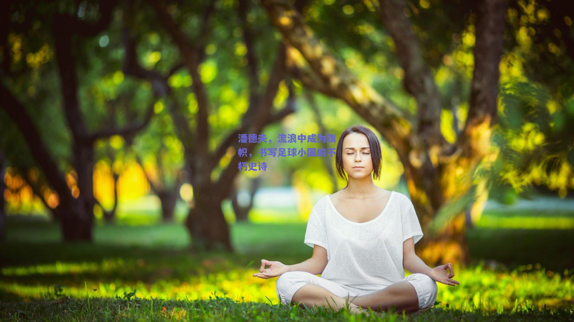 潘德夫，流浪中成为旗帜，书写足球小国的不朽史诗